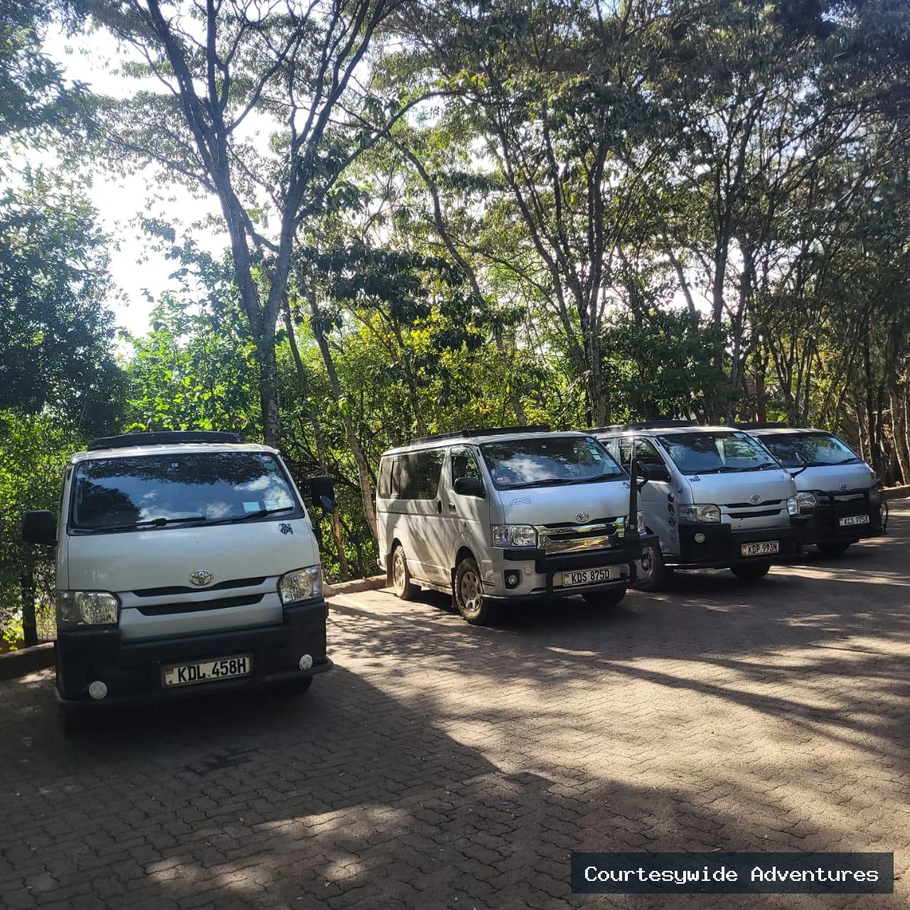 Toyota Hiace Safari Tour Van with Pop Up Roof | Courtesywide Adventures