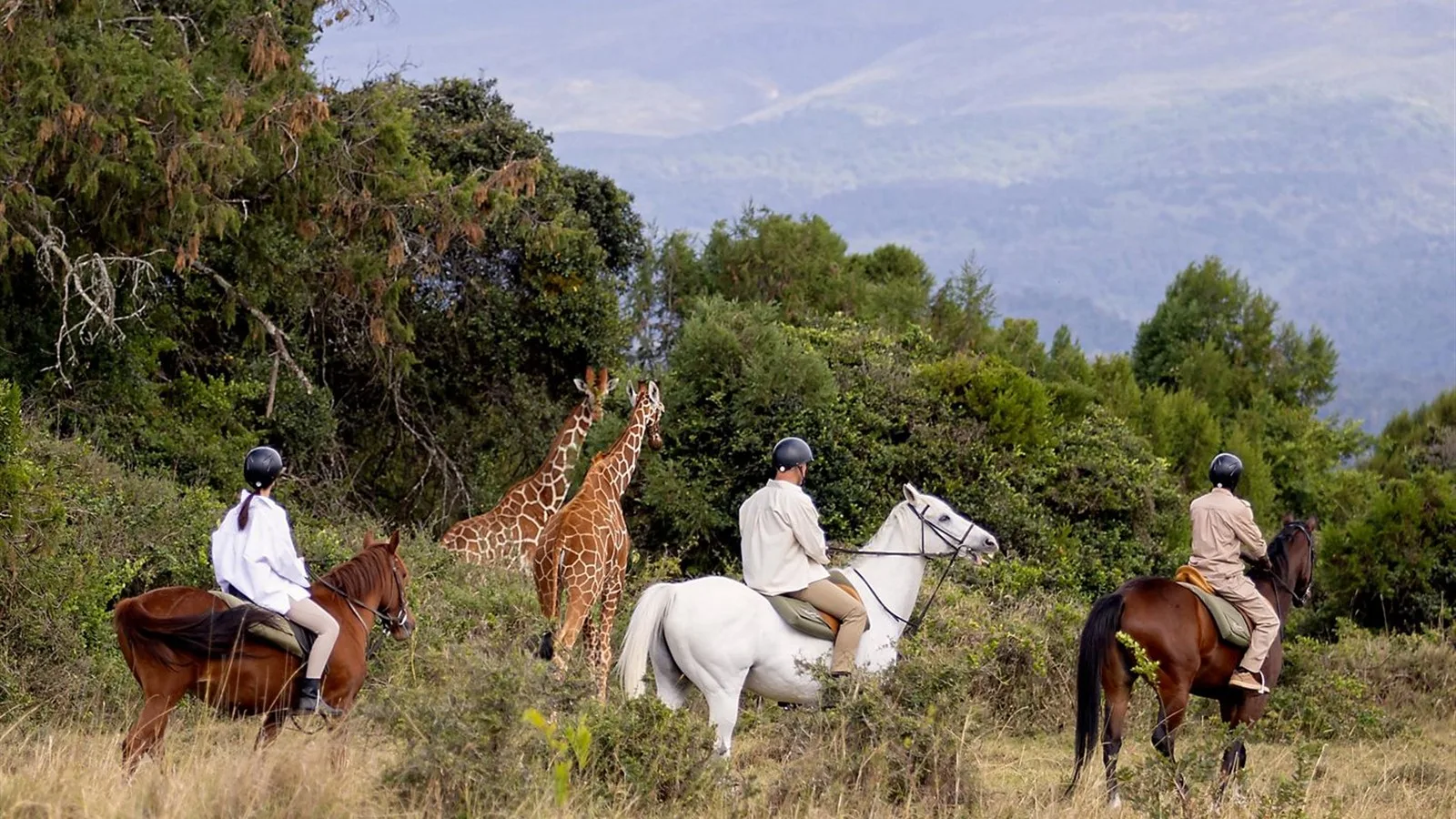 Mount Kenya | Courtesywide Adventures