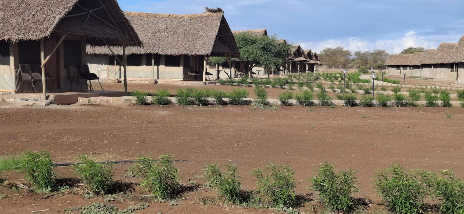 Osutua Rafiki Camp photo 2