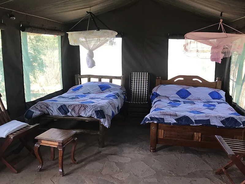 Manjaro Tented Camp photo 3