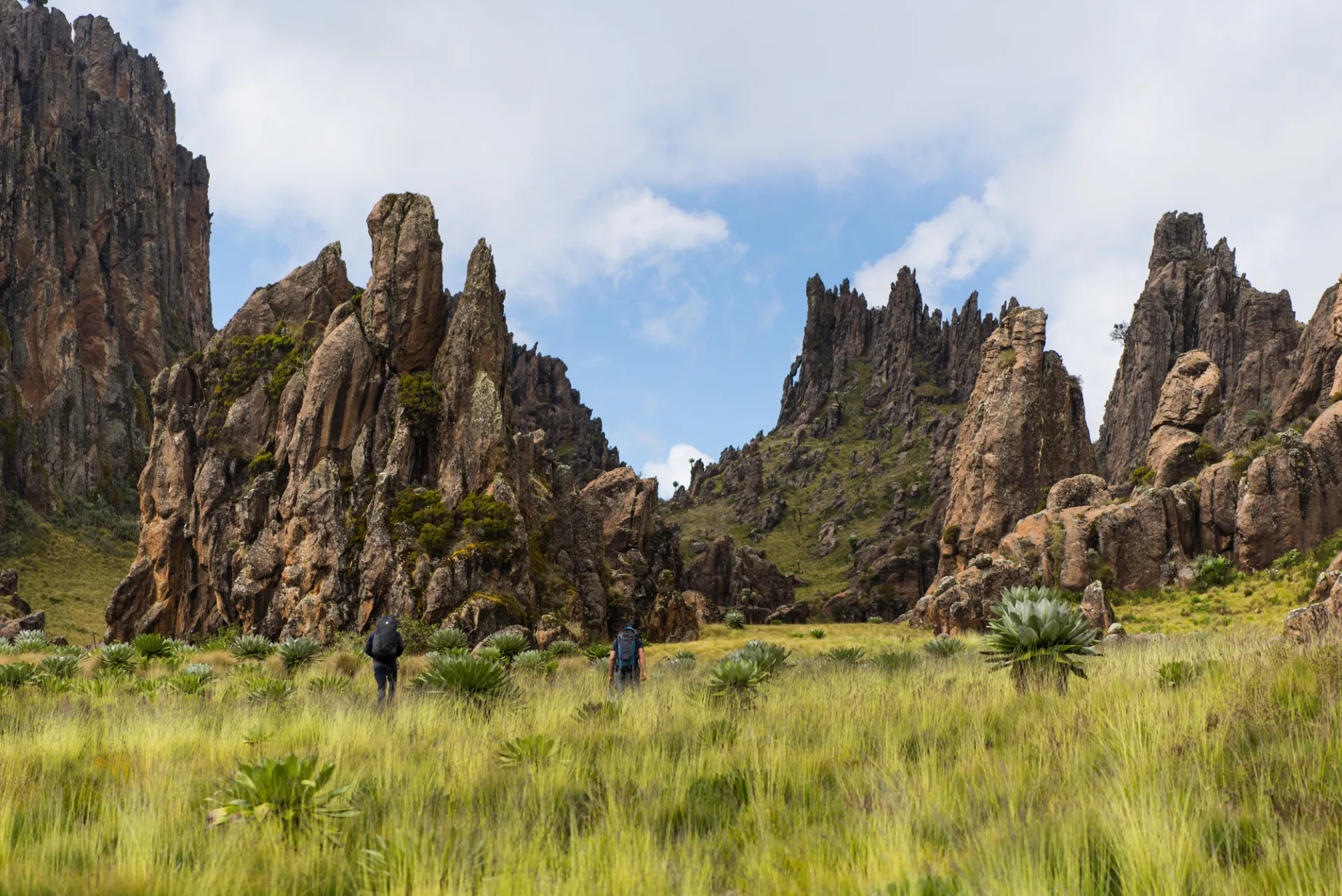 Aberdare National Park
