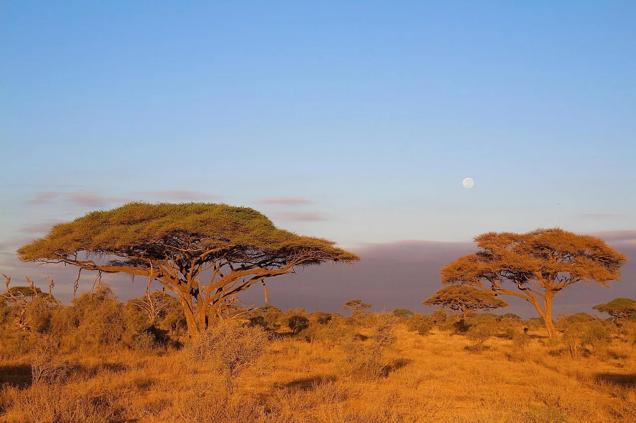 Amboseli National Park