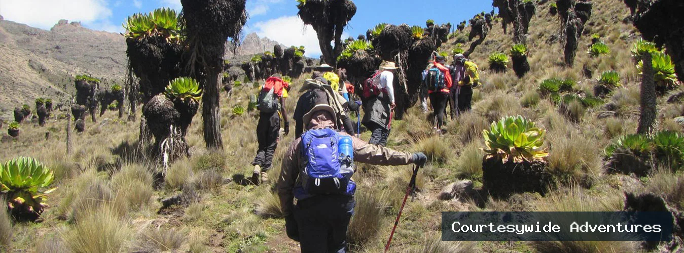 7-Day Land of Contrast Mount Kenya Trek