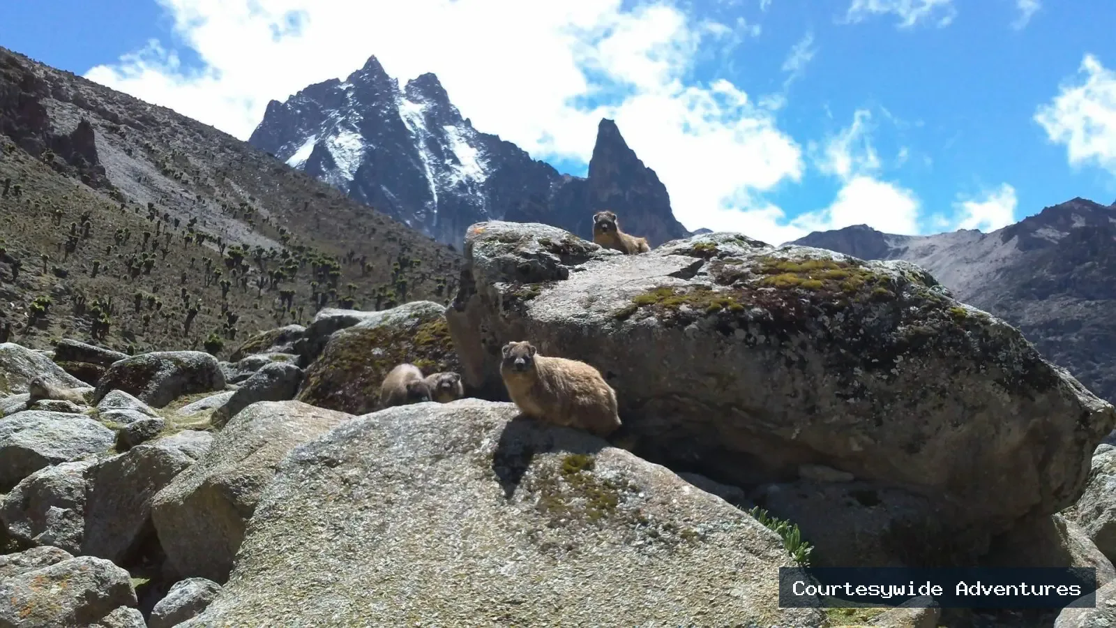 6-Day Chogoria to Sirimon Mount Kenya Traverse